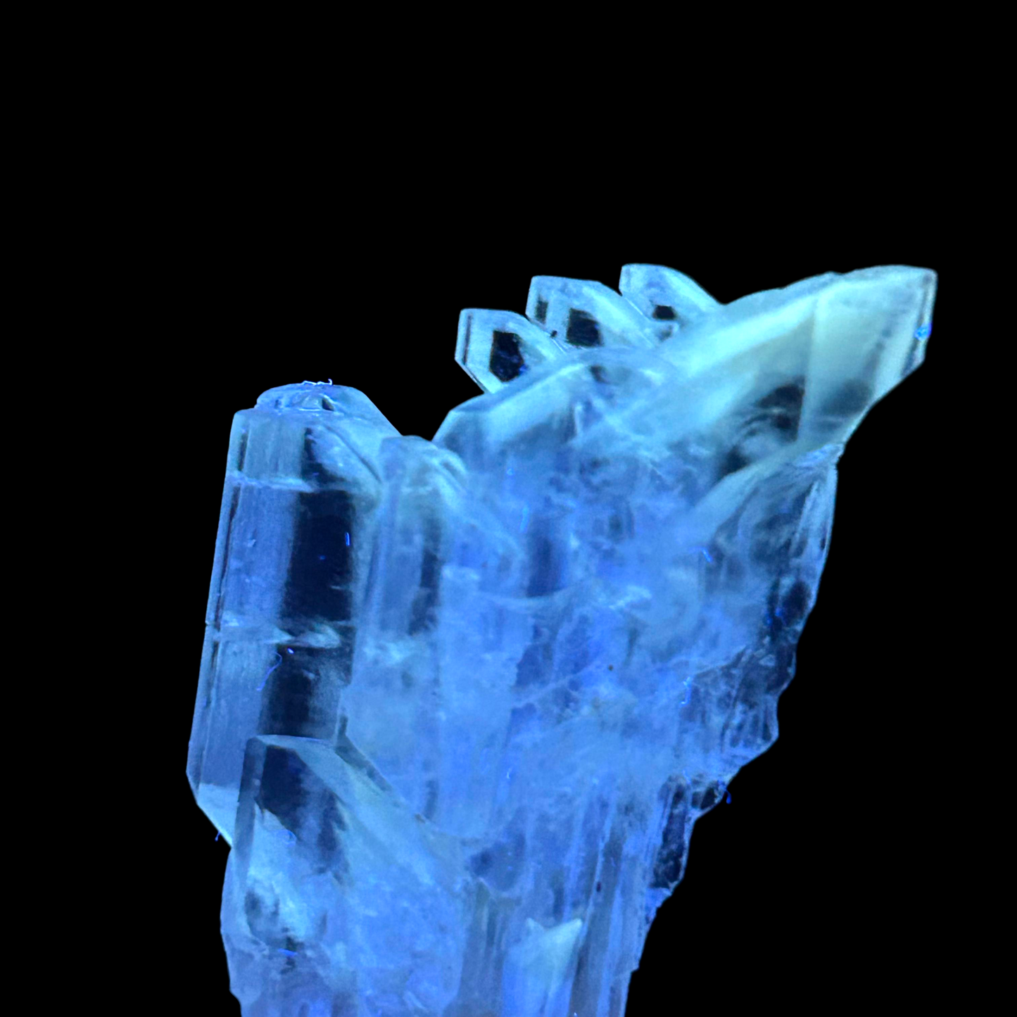 Golden Gypsum - Bleicherode, Harz Mts