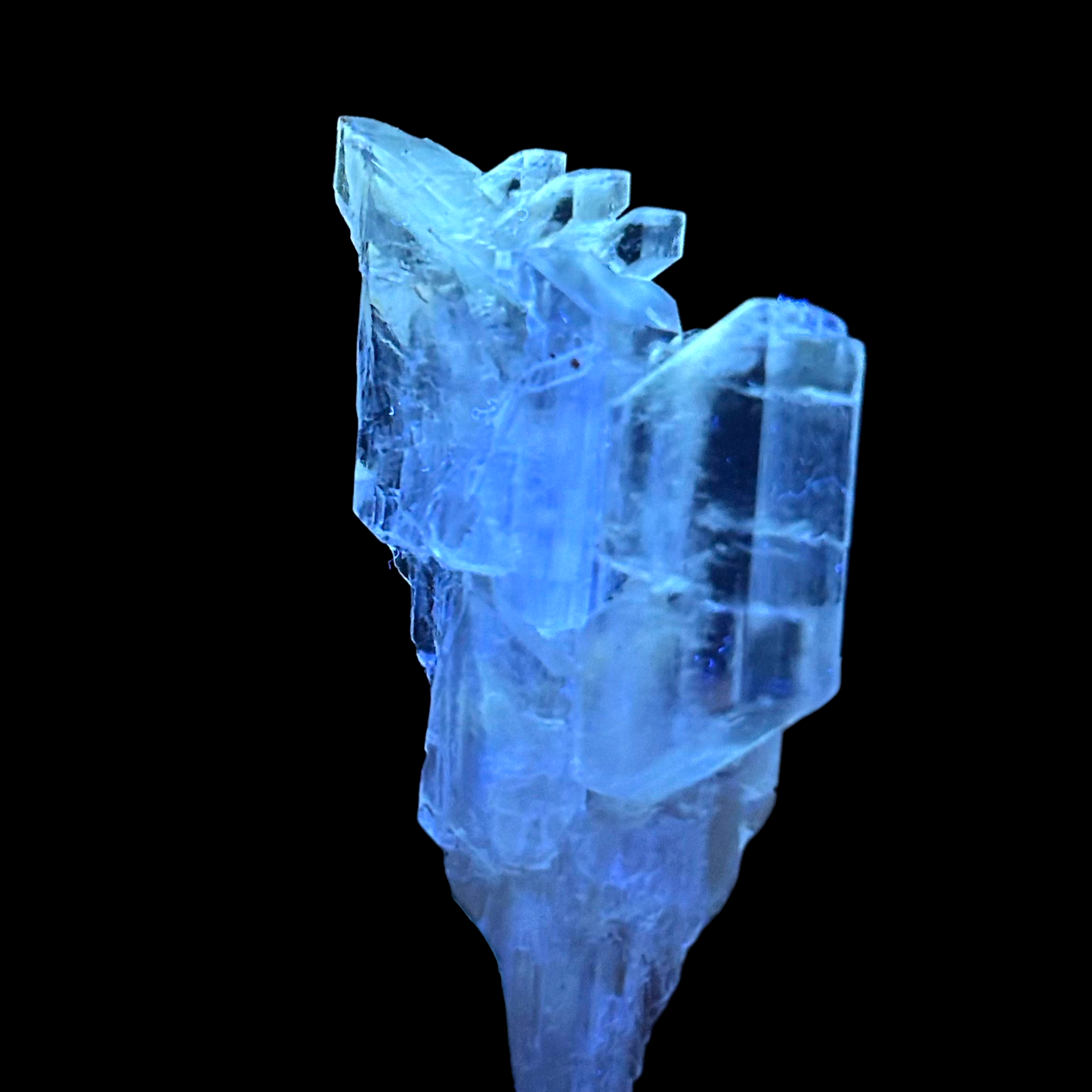 Golden Gypsum - Bleicherode, Harz Mts