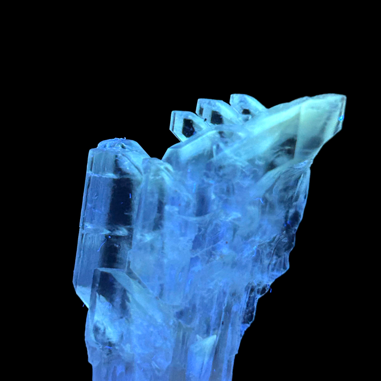 Golden Gypsum - Bleicherode, Harz Mts