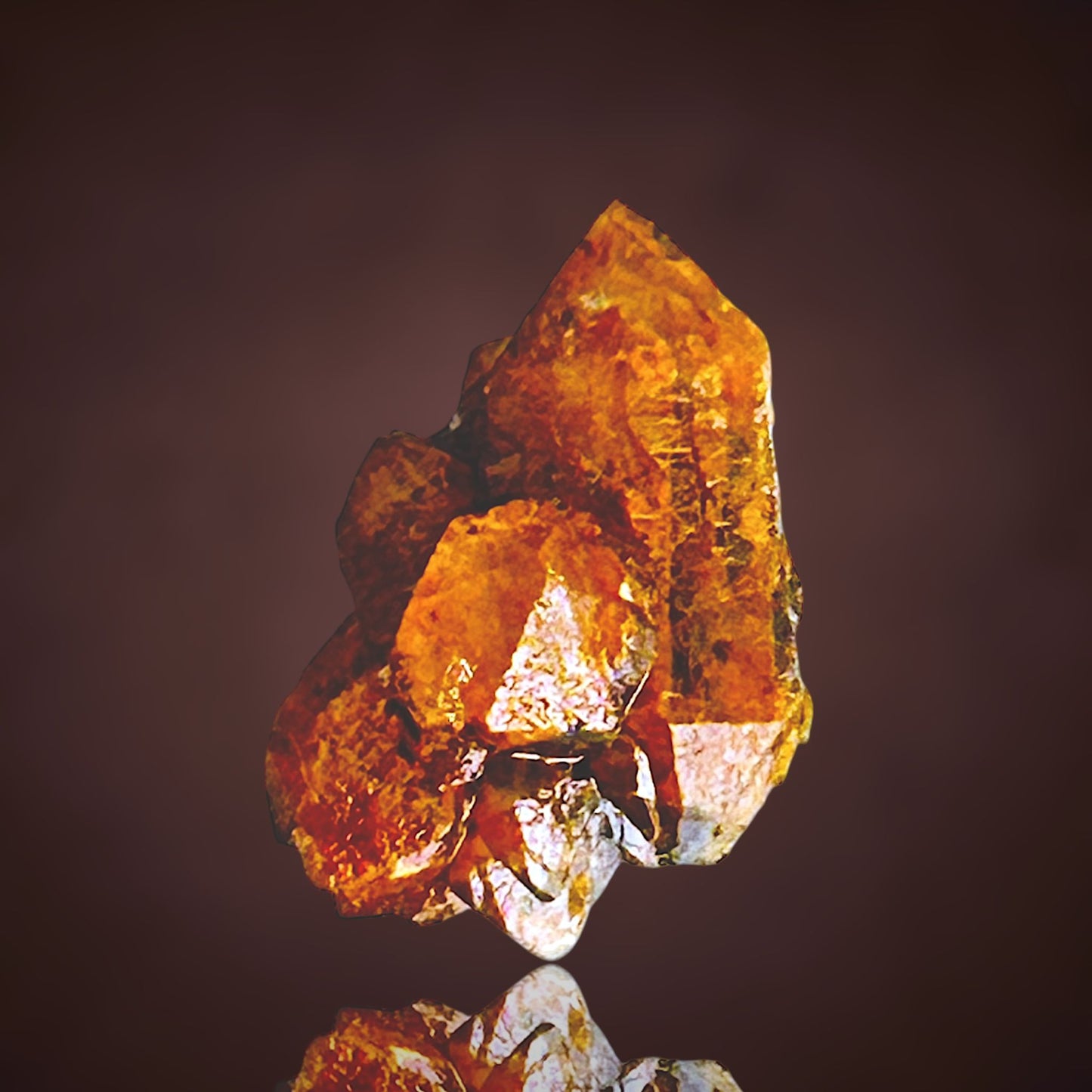 Quartz with fungus inclusions