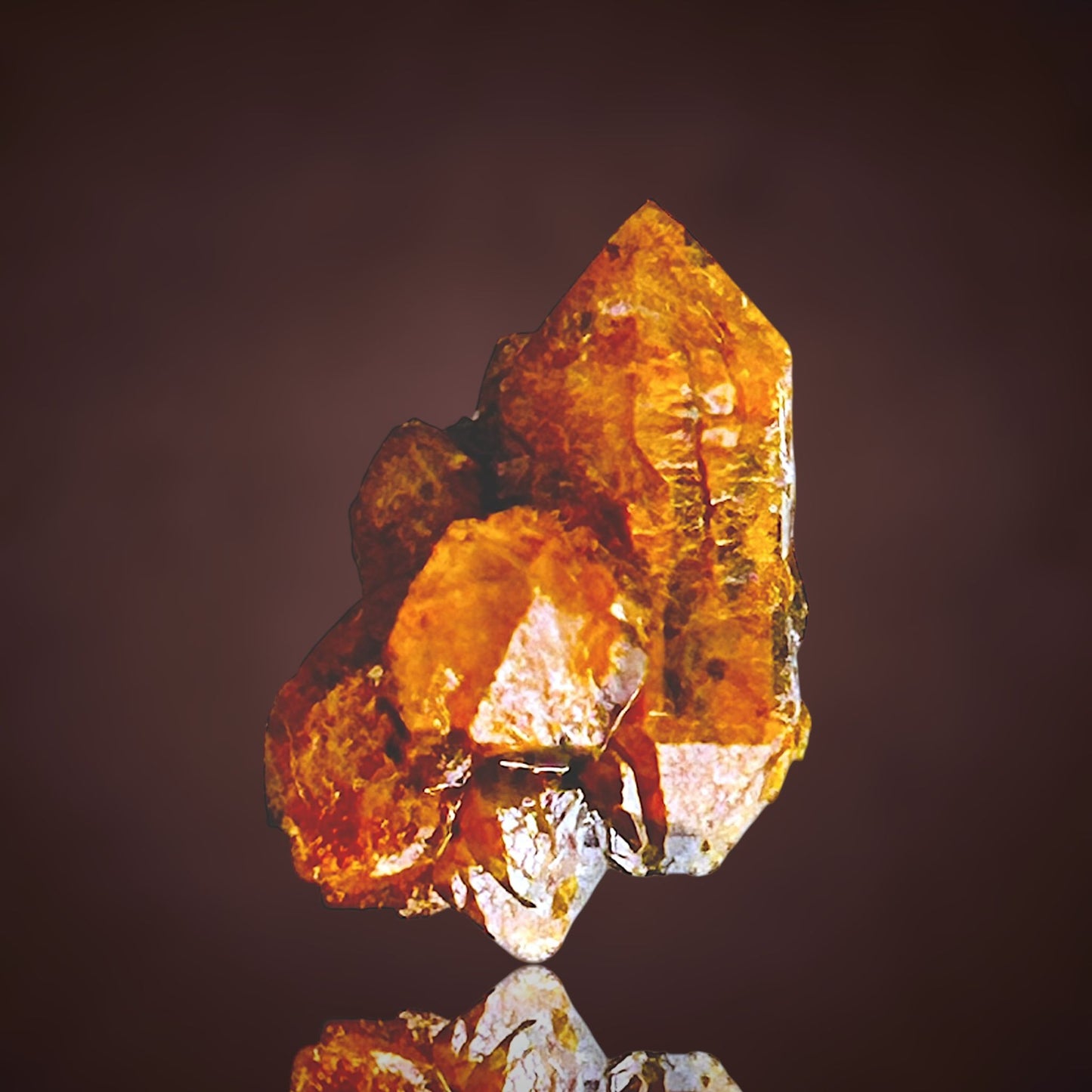 Quartz with fungus inclusions