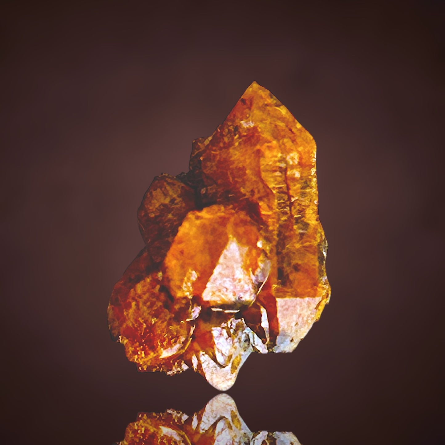 Quartz with fungus inclusions