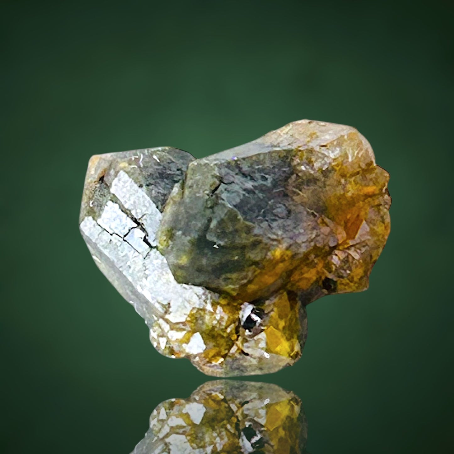Quartz with fungus inclusions