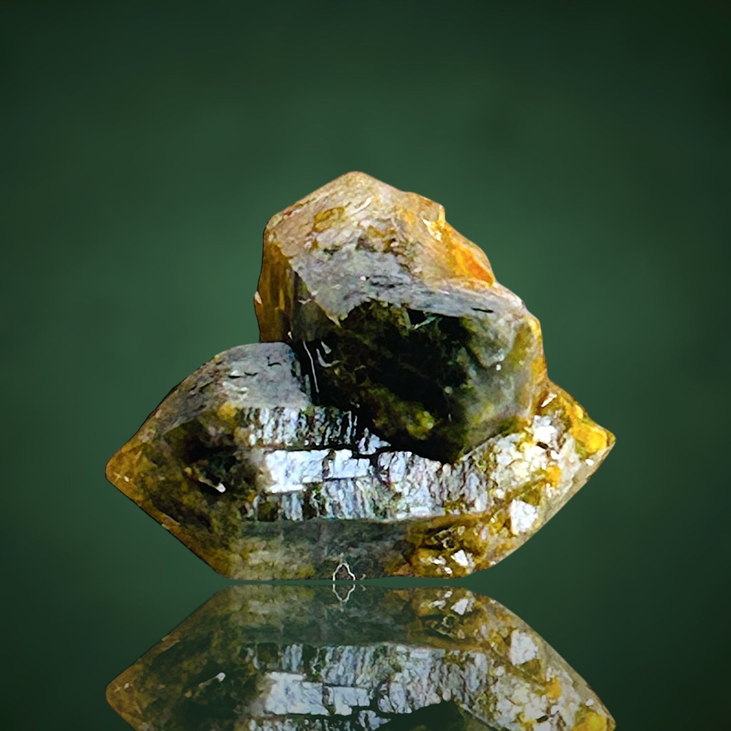Quartz with fungus inclusions