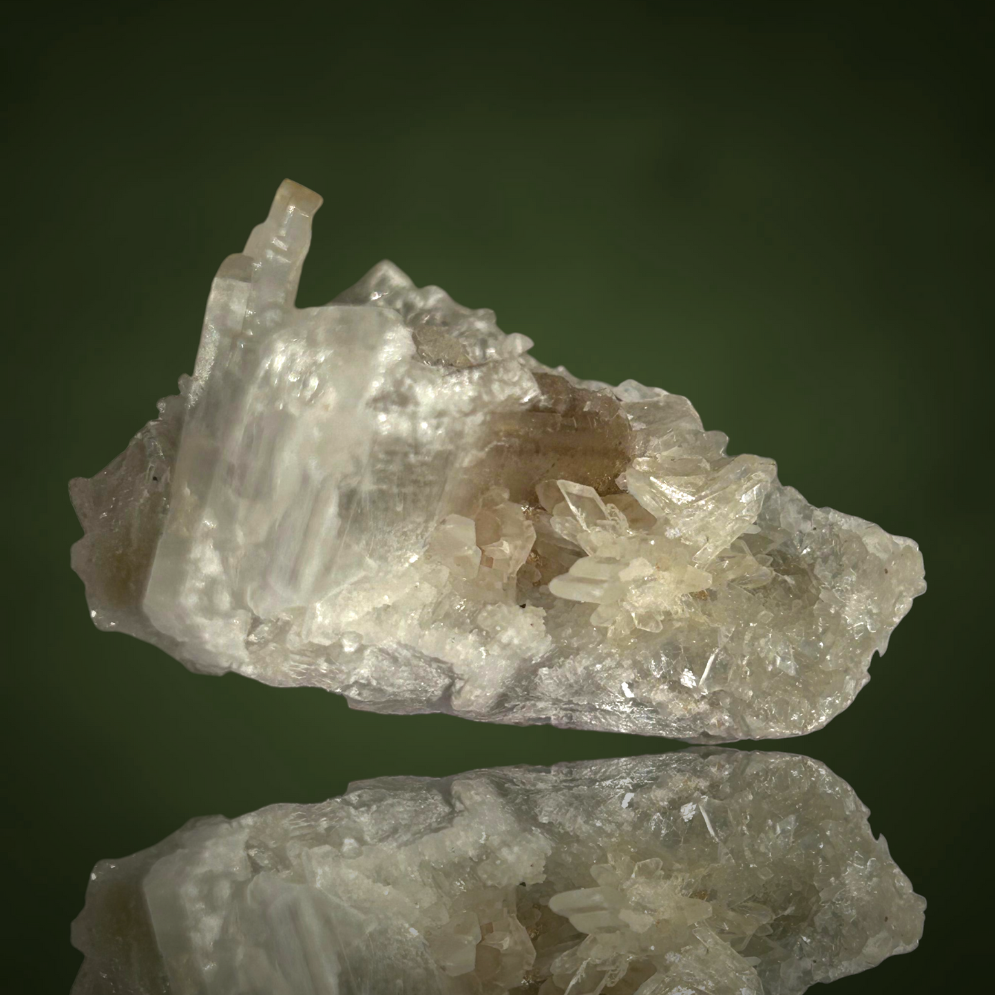 Swallow-tail Gypsum & Strontioginorite - Kohnstein