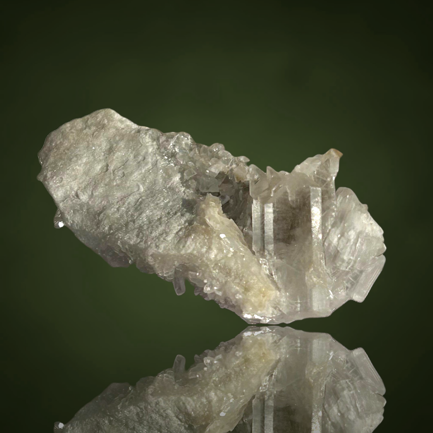 Swallow-tail Gypsum & Strontioginorite - Kohnstein