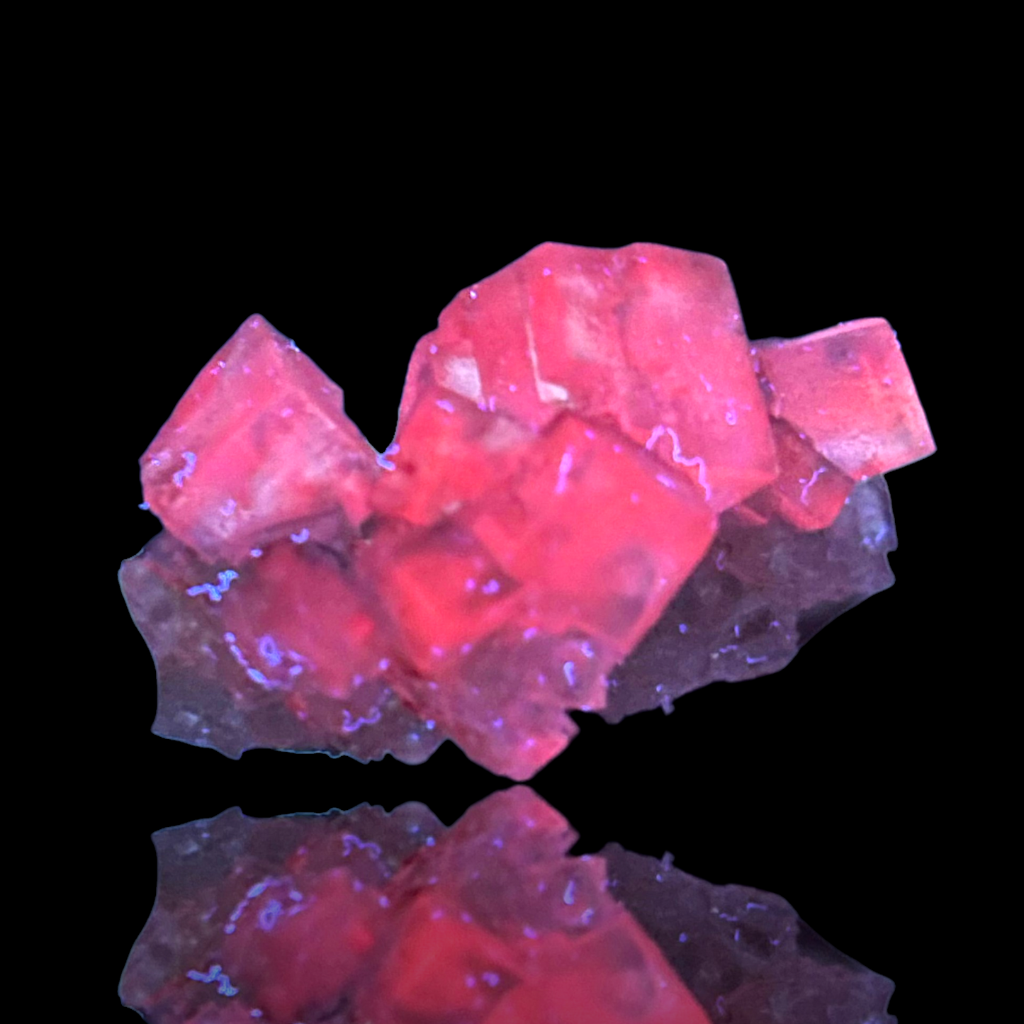 Halit - Bleicherode, Thüringen