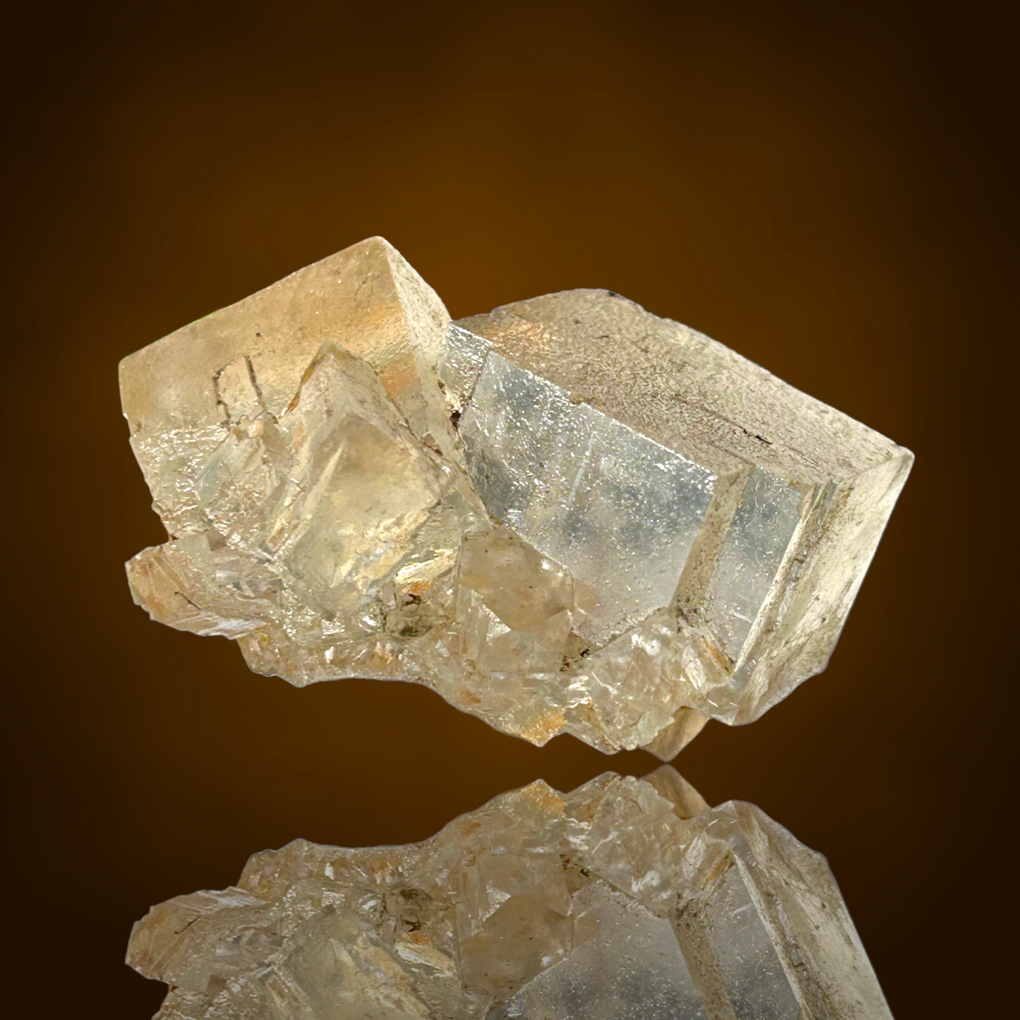 Halite & Sylvite - Bleicherode, Thuringia