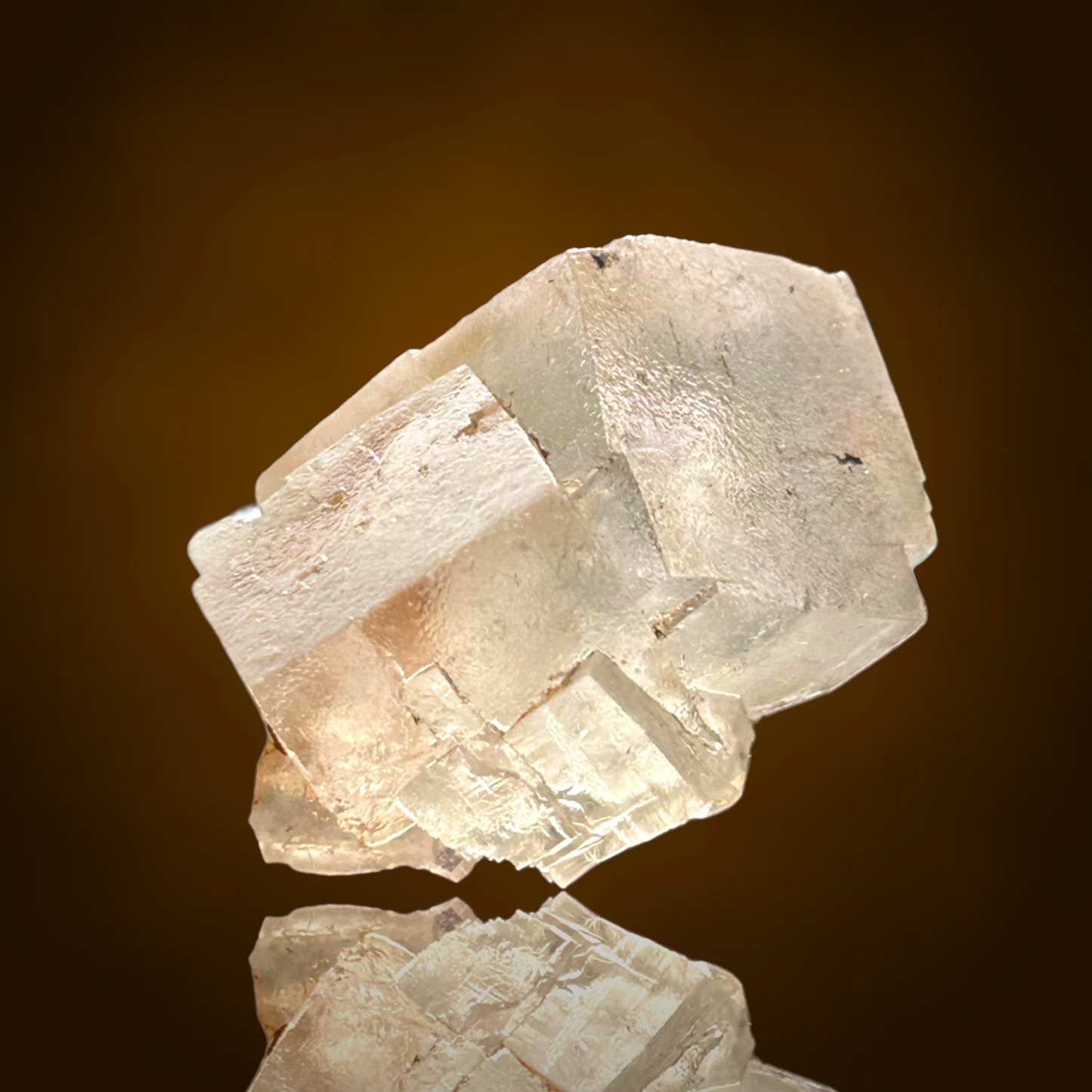 Halite & Sylvite - Bleicherode, Thuringia