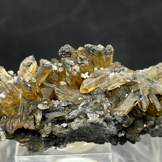 Golden Baryte - Rosh Pina, Namibia