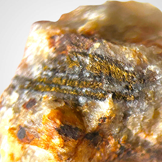 Gold psm. nach Sylvanit - Colorado, USA
