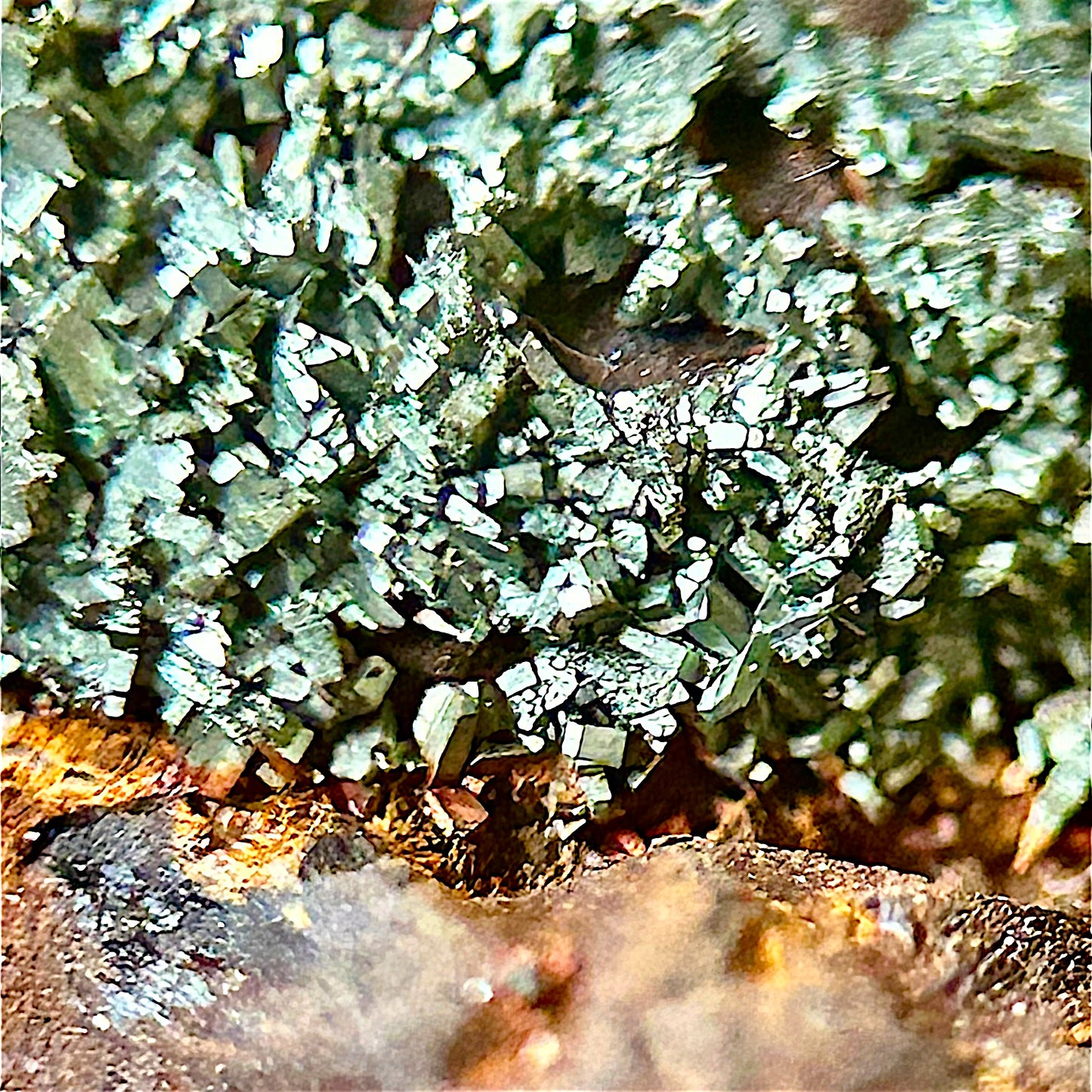 Ramsdellite, Limonite - Bad Grund, Harz
