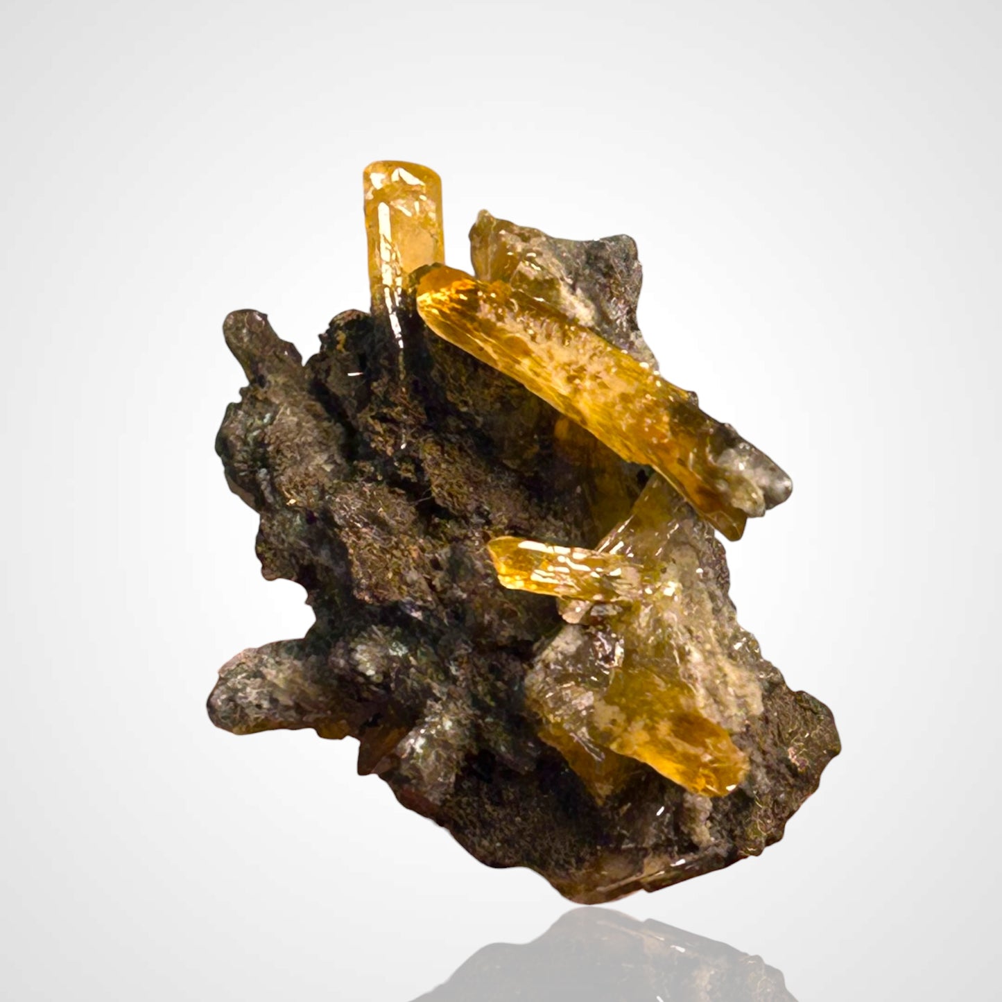 Golden Baryte - Rosh Pina, Namibis