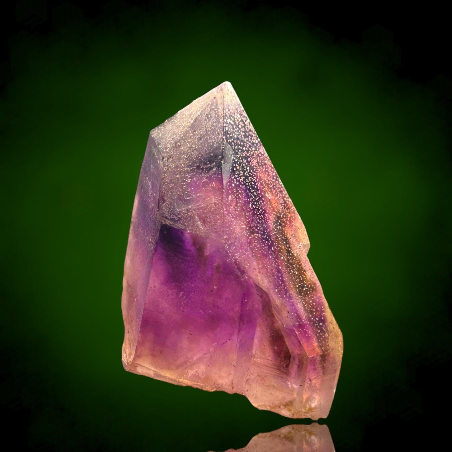 Amethyst Harlequin - Brandberg, Namibia