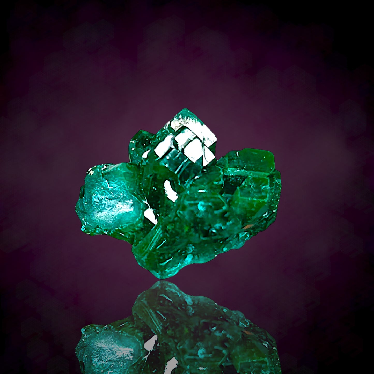 Dioptase - Kaokoveld, Namibia