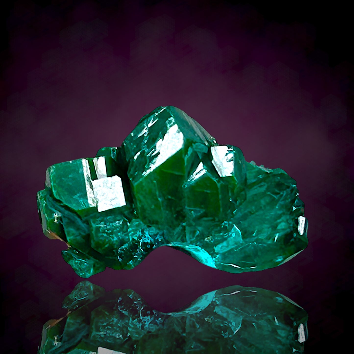 Dioptase - Kaokoveld, Namibia