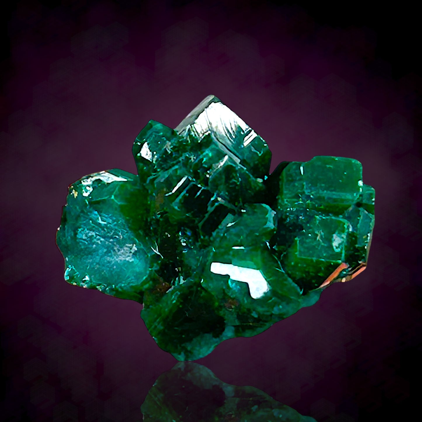 Dioptase - Kaokoveld, Namibia