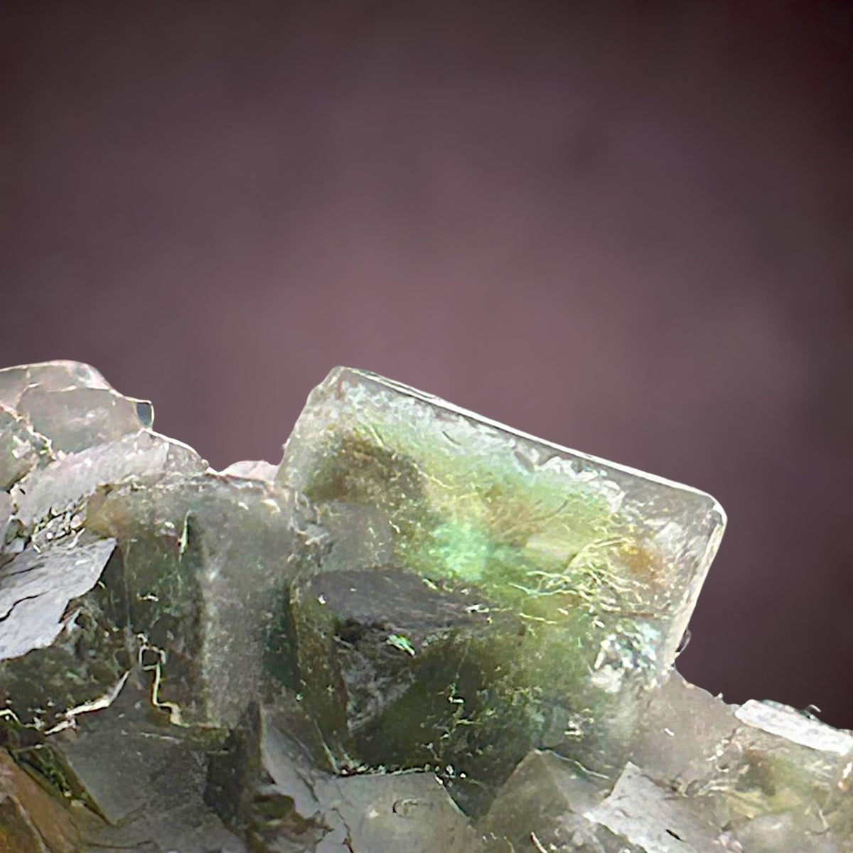 Fluorite - Okorusu, Namibia