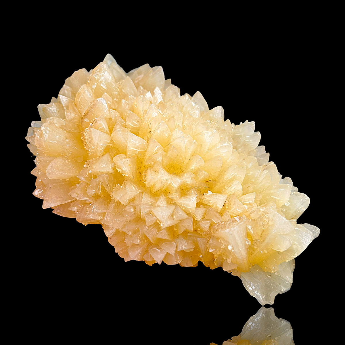 Golden Calcite - Winterberg Quarry, Harz