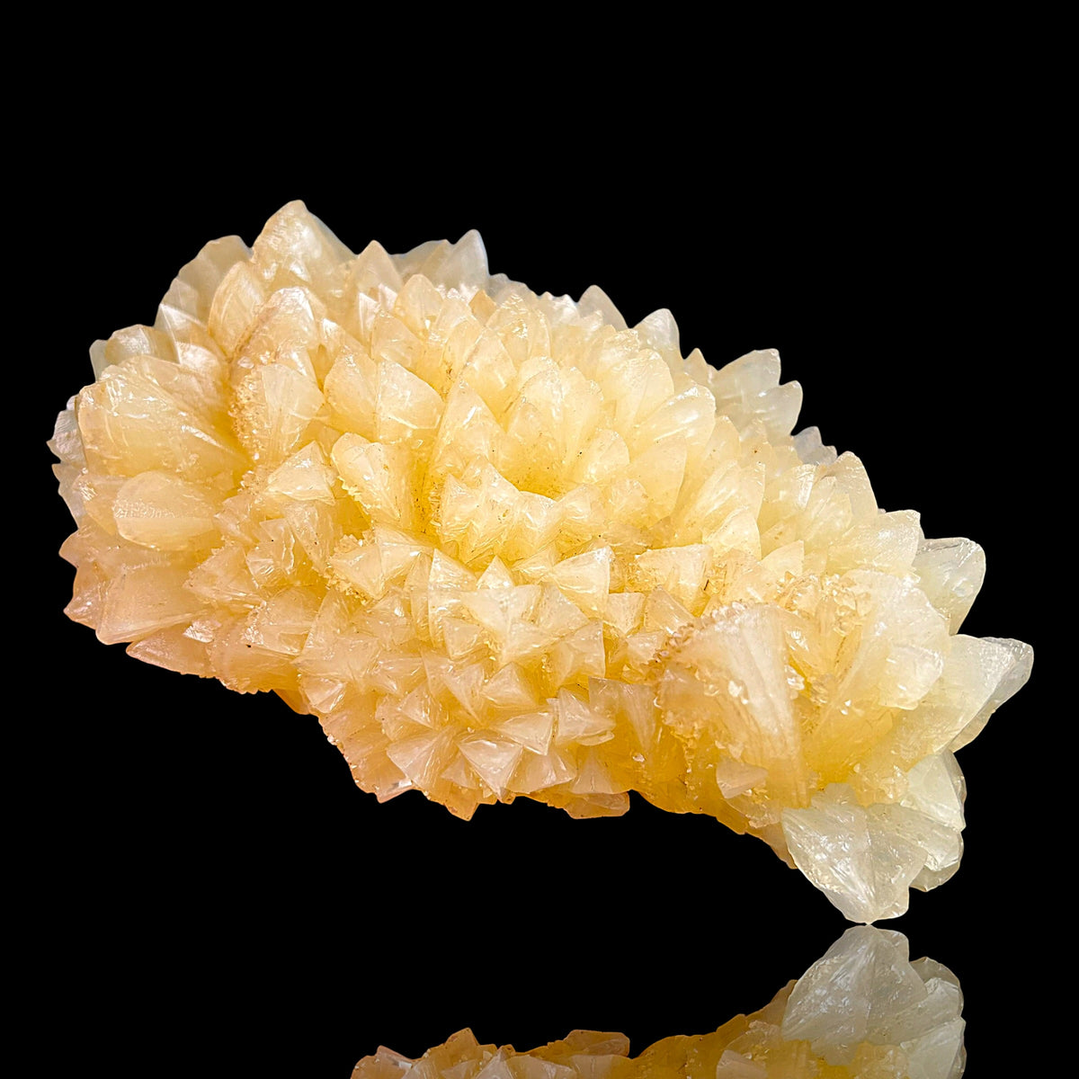 Golden Calcite - Winterberg Quarry, Harz