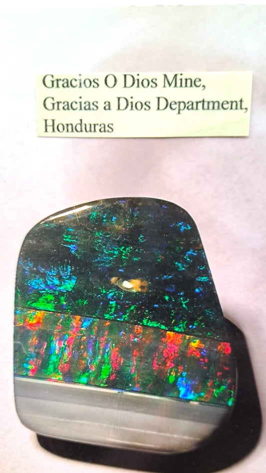 Black Opal - Honduras