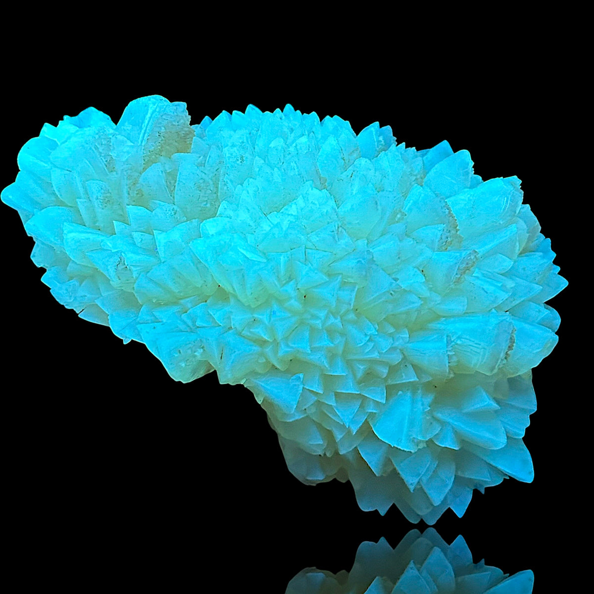 Golden Calcite - Winterberg Quarry, Harz