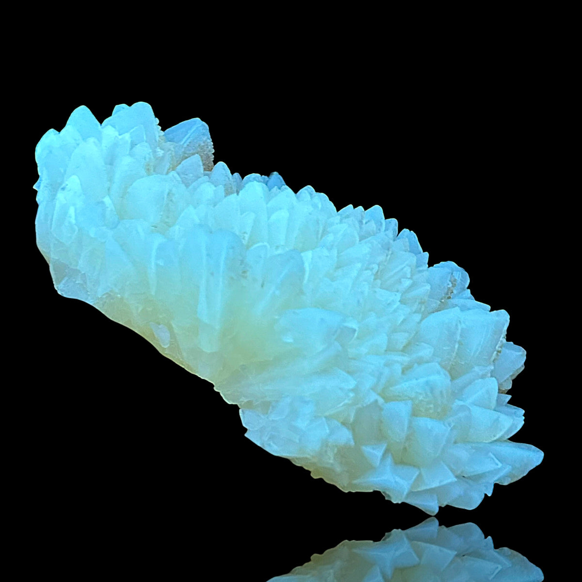 Golden Calcite - Winterberg Quarry, Harz