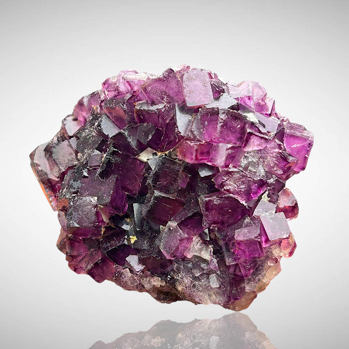 Fluorite - Okorusu, Namibia