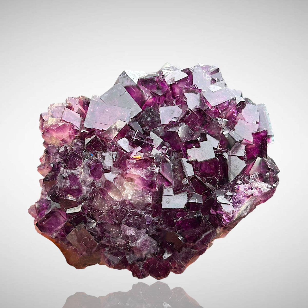 Fluorite - Okorusu, Namibia