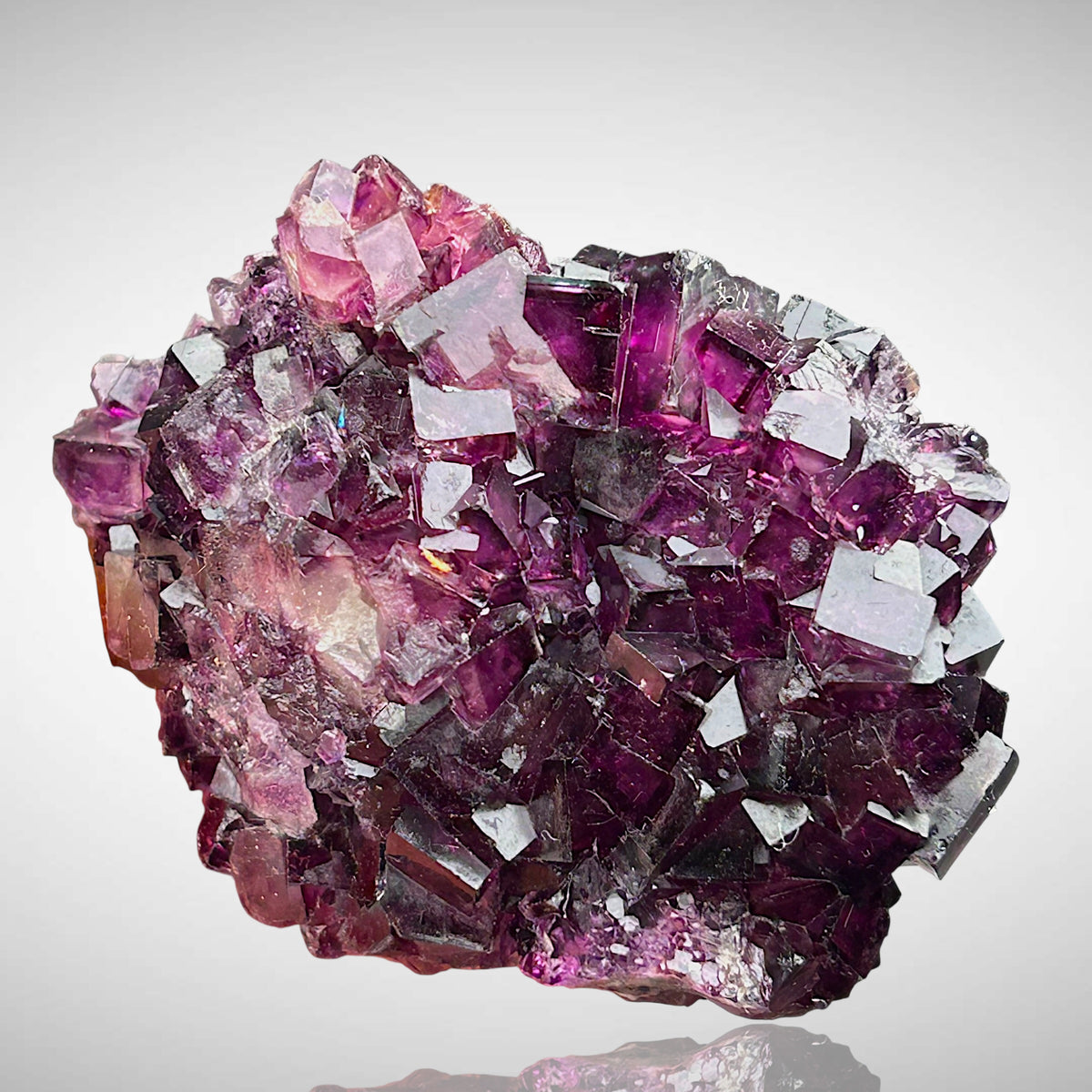 Fluorite - Okorusu, Namibia