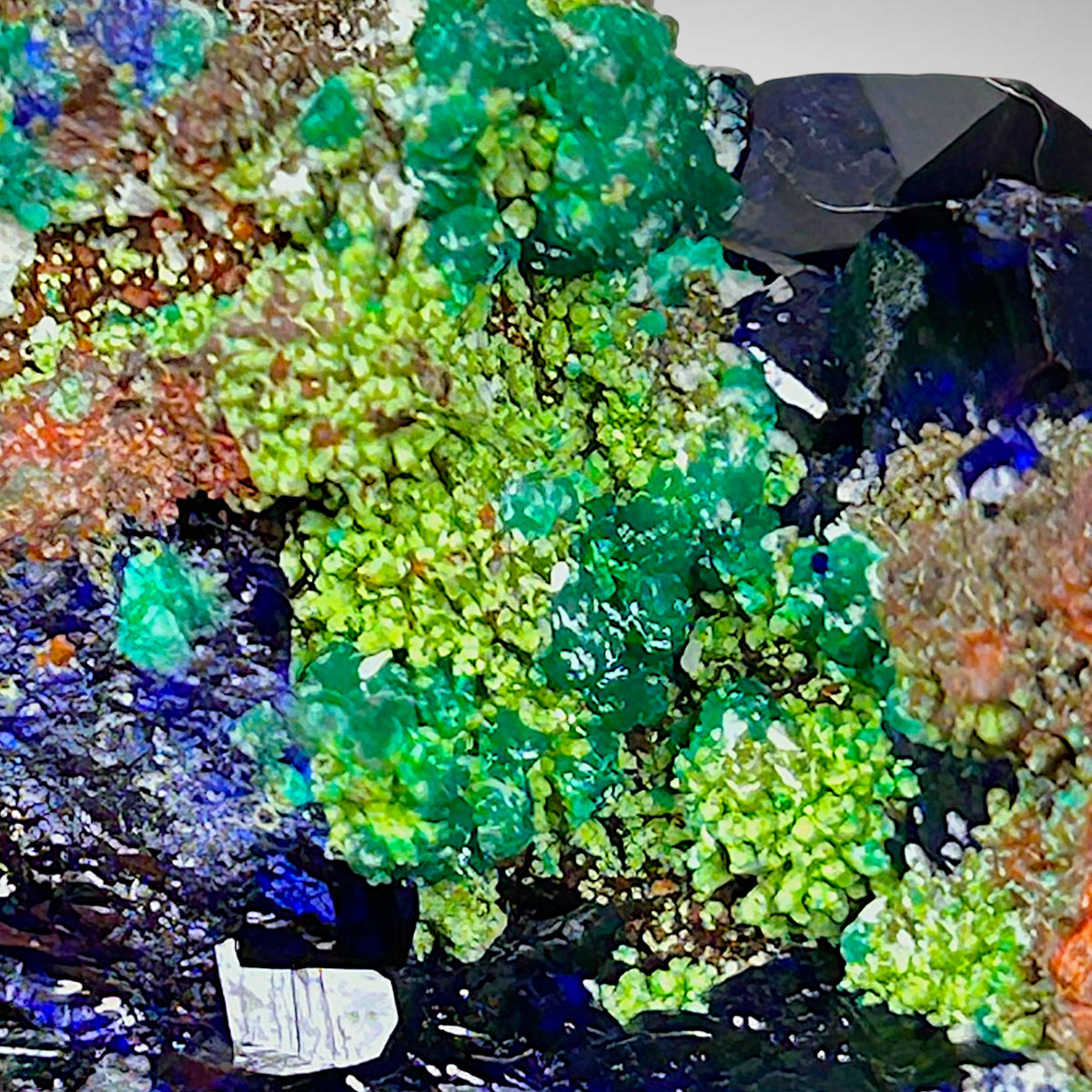 Tsumebit, Azurit, Arsentsumebit, Smithsonit, Cerussit - Tsumeb, Namibia