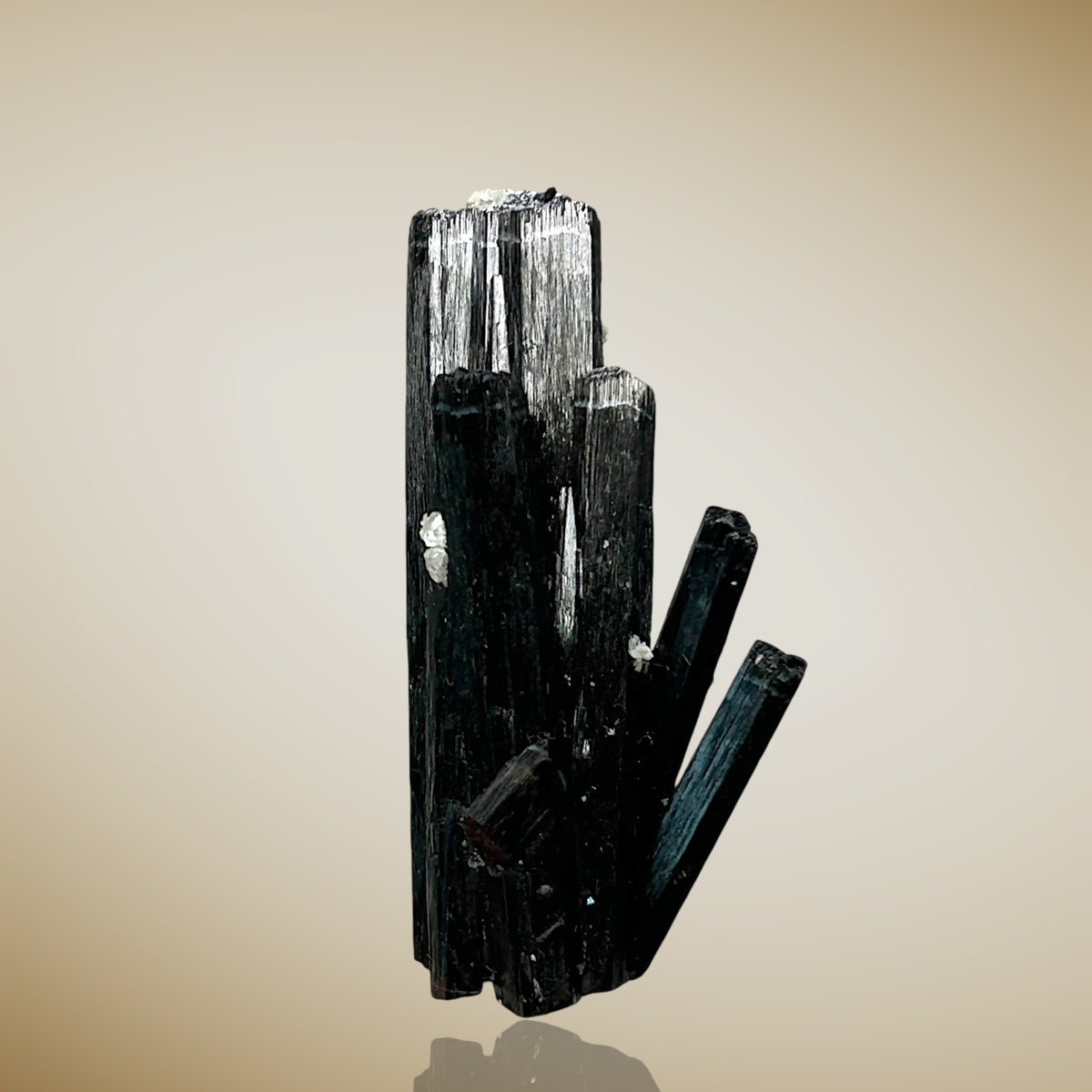 Tourmaline, Zinnwaldite - Erongo, Namibia