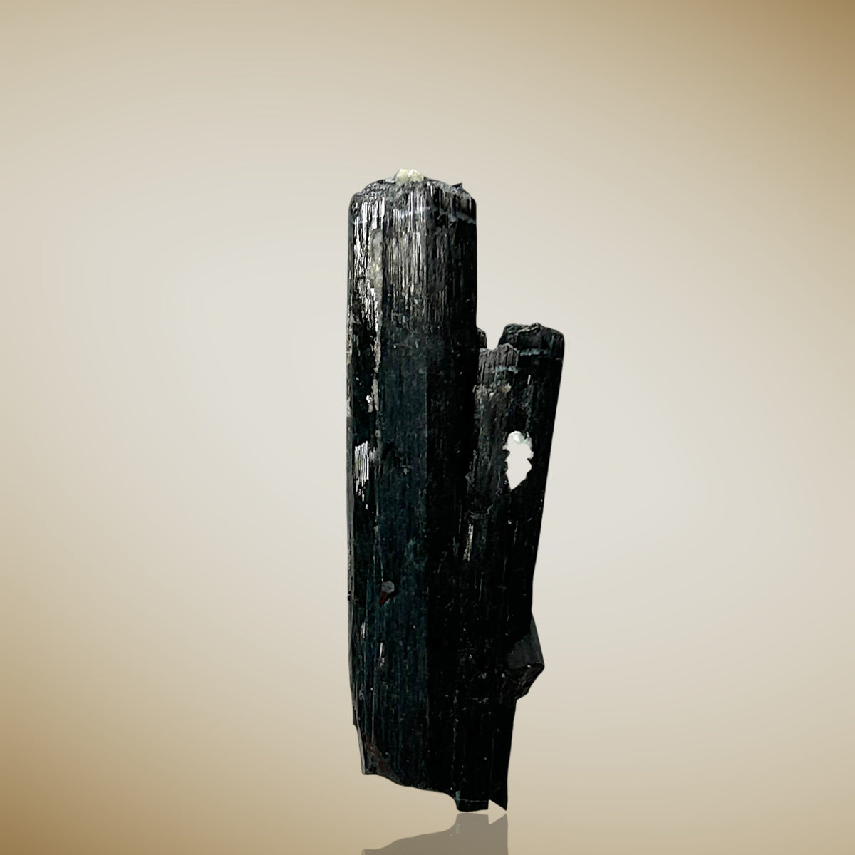 Tourmaline, Zinnwaldite - Erongo, Namibia