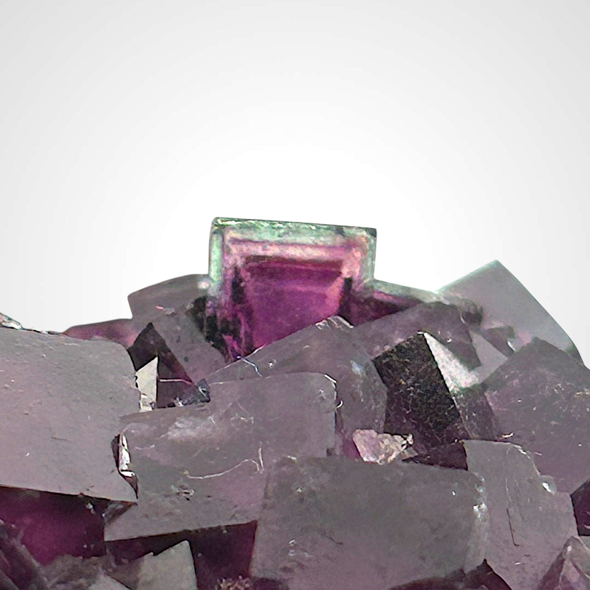 Fluorite - Okorusu, Namibia