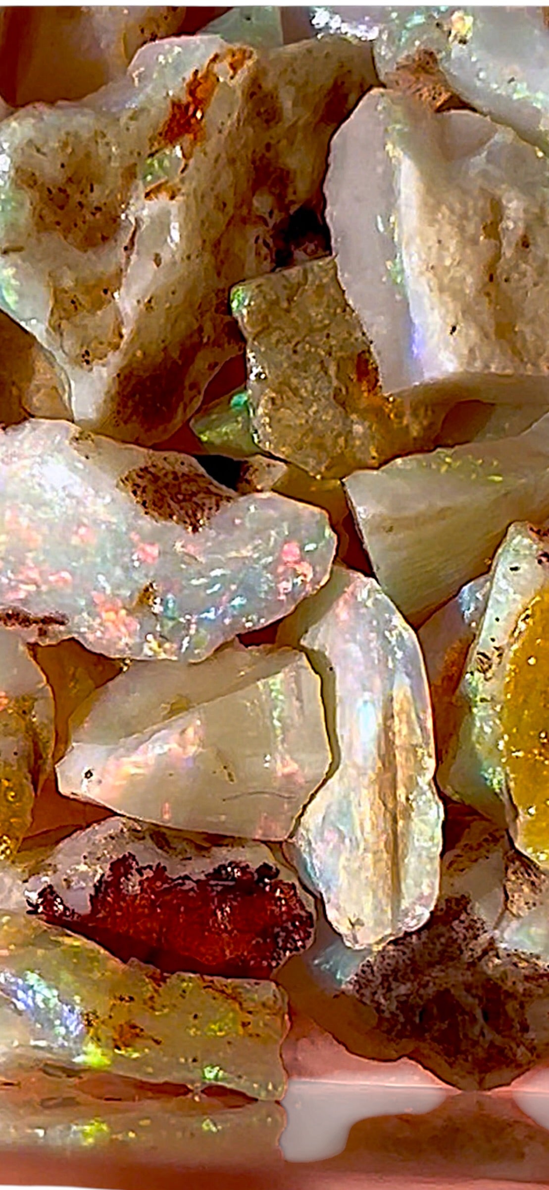 70 ct fossil opals - Coober Pedy, Australia