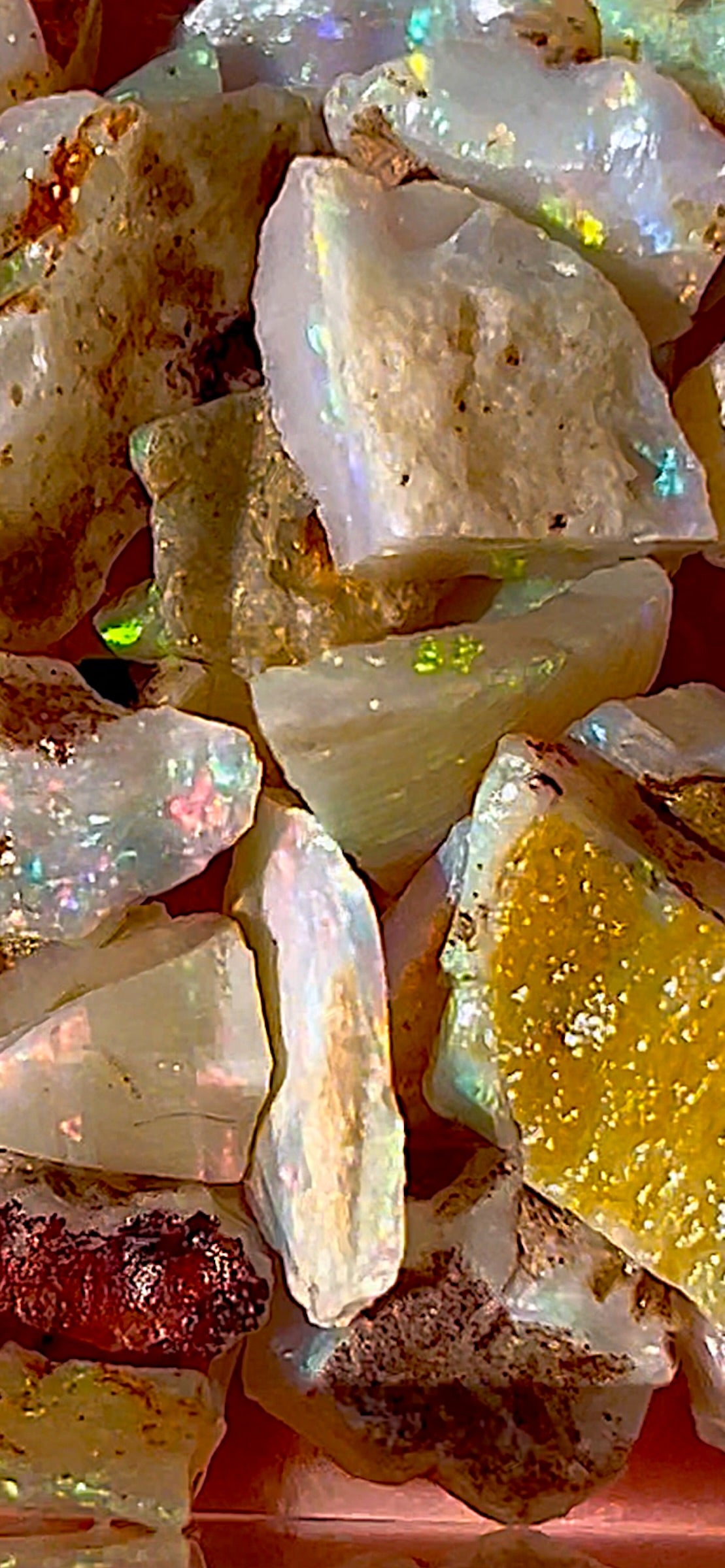 70 ct fossil opals - Coober Pedy, Australia