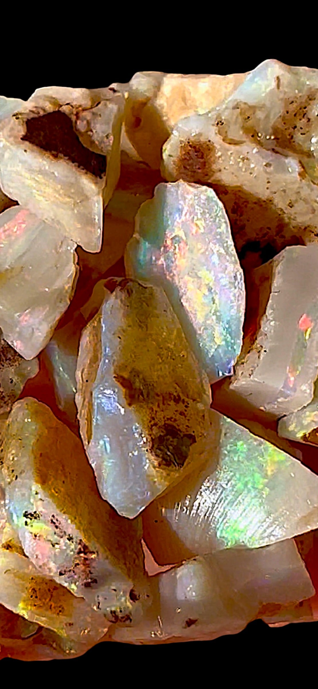 70 ct fossil opals - Coober Pedy, Australia