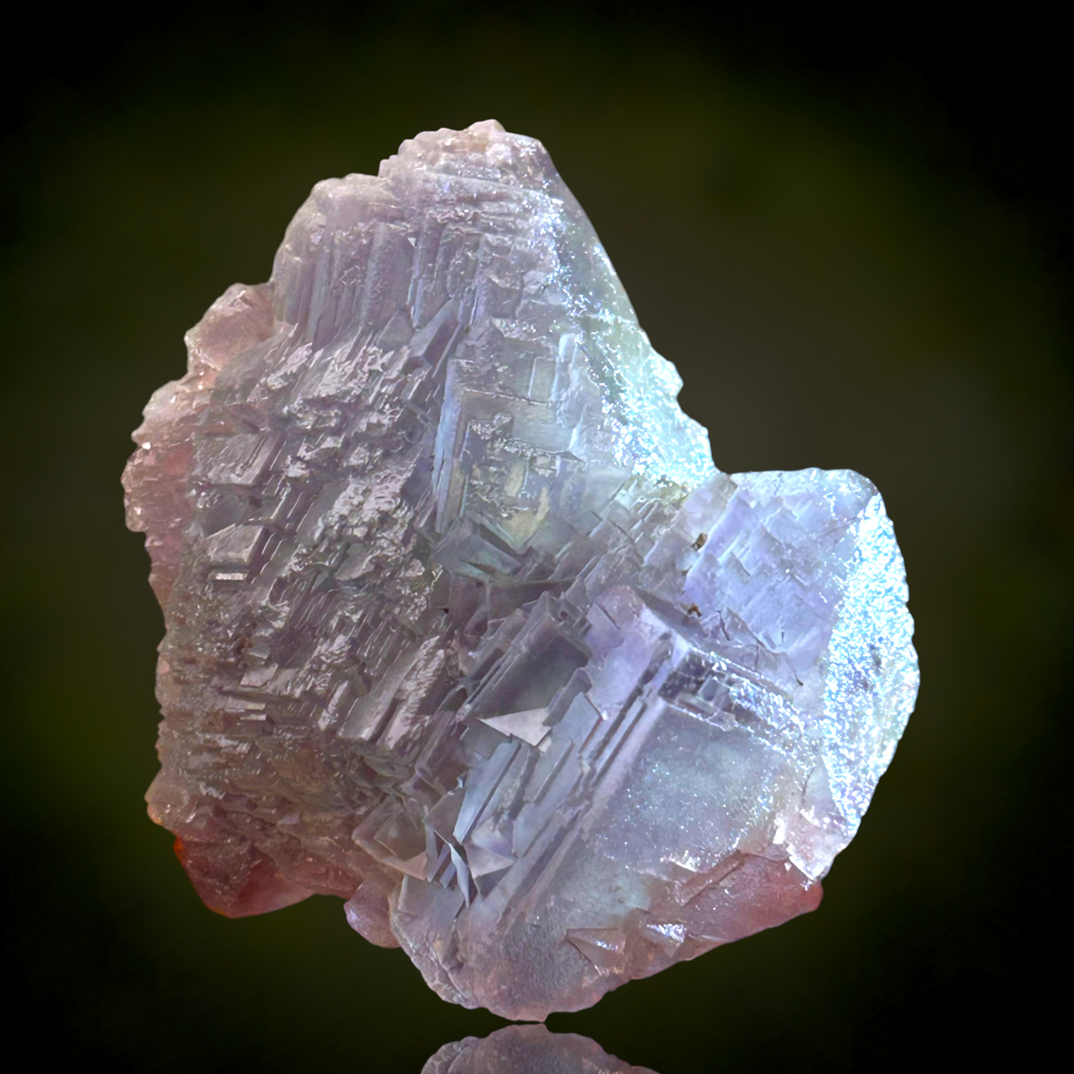 Alpine Fluorite - Summit Cleft, Weisseck, Austria