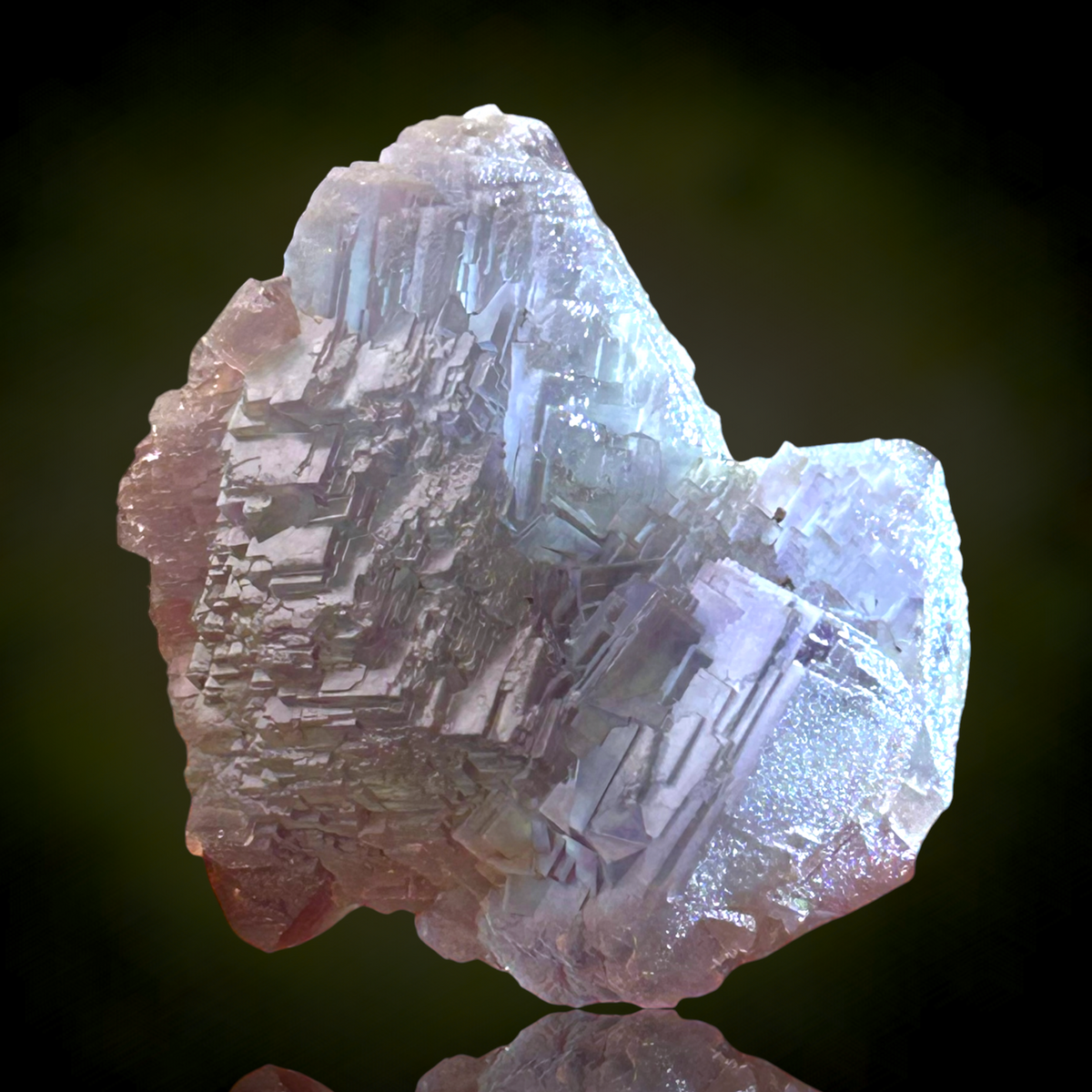 Alpine Fluorite - Summit Cleft, Weisseck, Austria