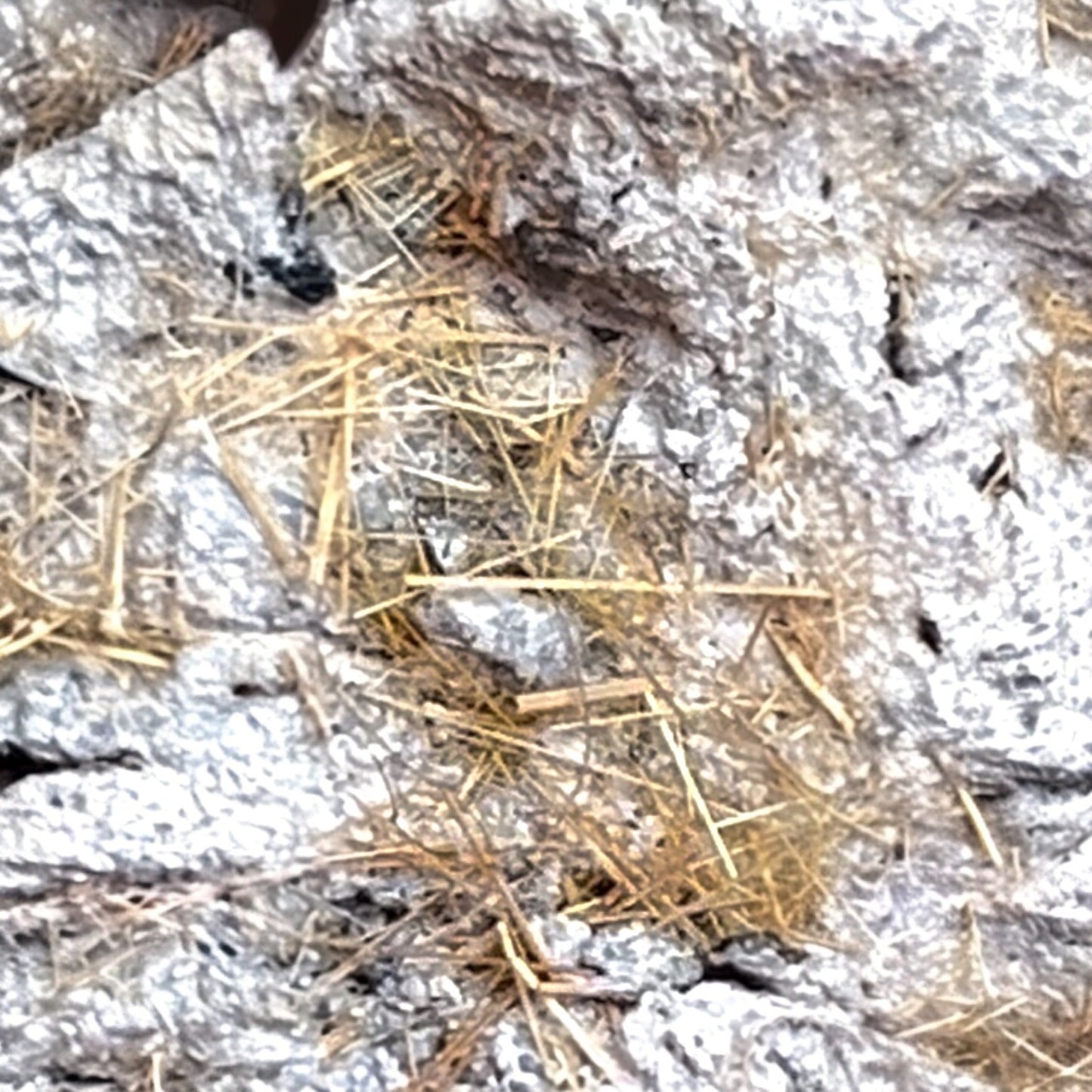 Rutil xx auf Matrix/ Rutile xls