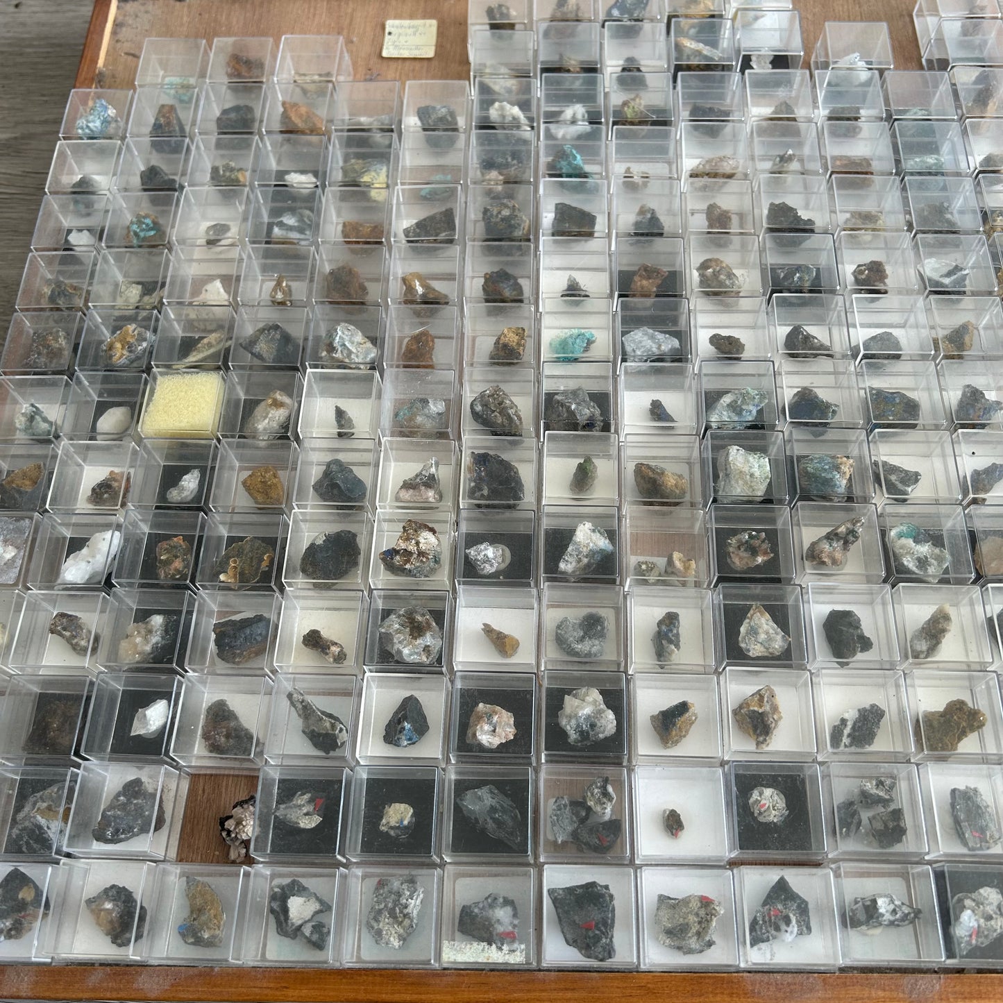 Micromount-Sammlung „Sauerland-Raritäten“ 350 Stück