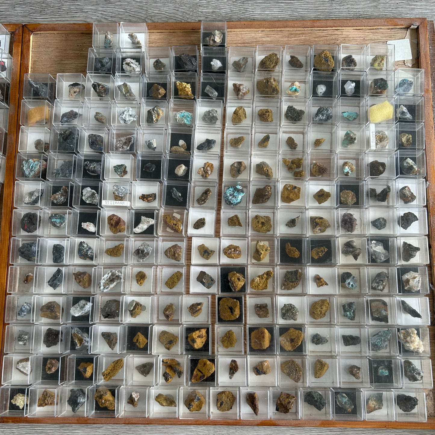 Micromount-Sammlung „Sauerland-Raritäten“ 350 Stück