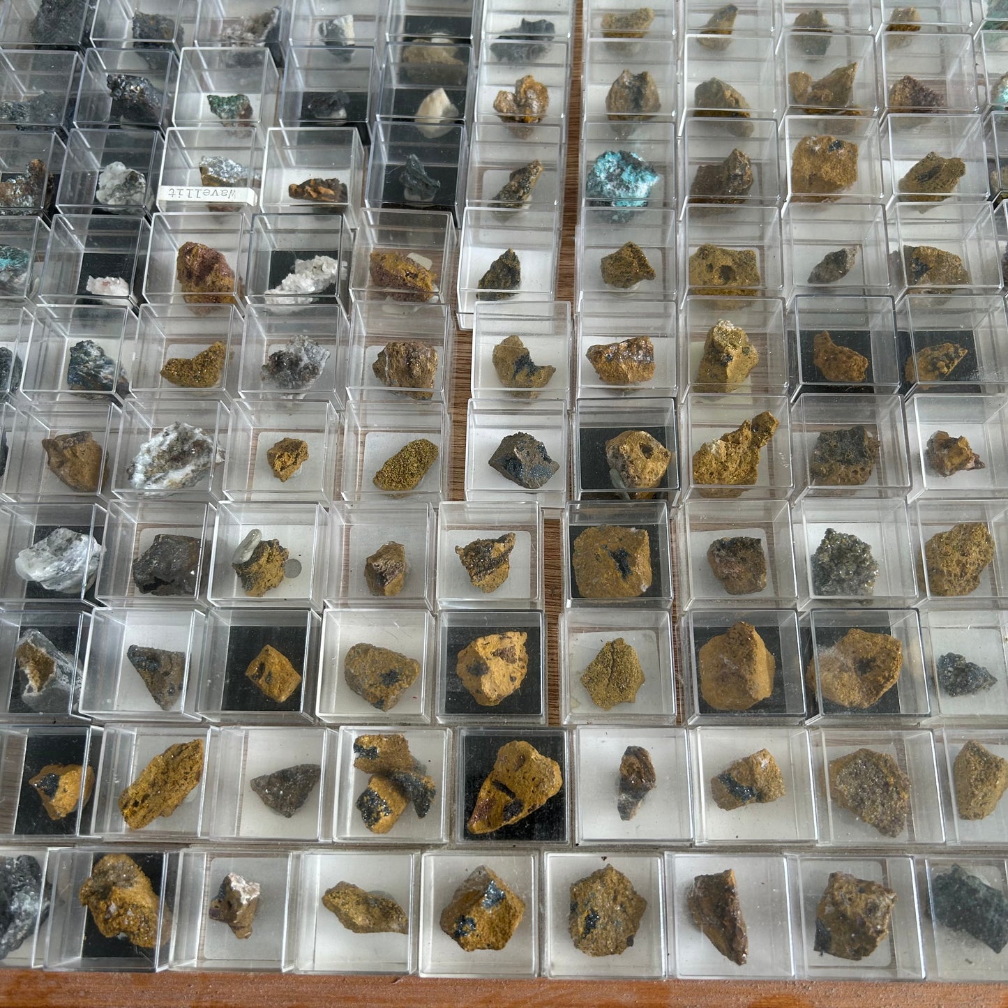 Micromount-Sammlung „Sauerland-Raritäten“ 350 Stück