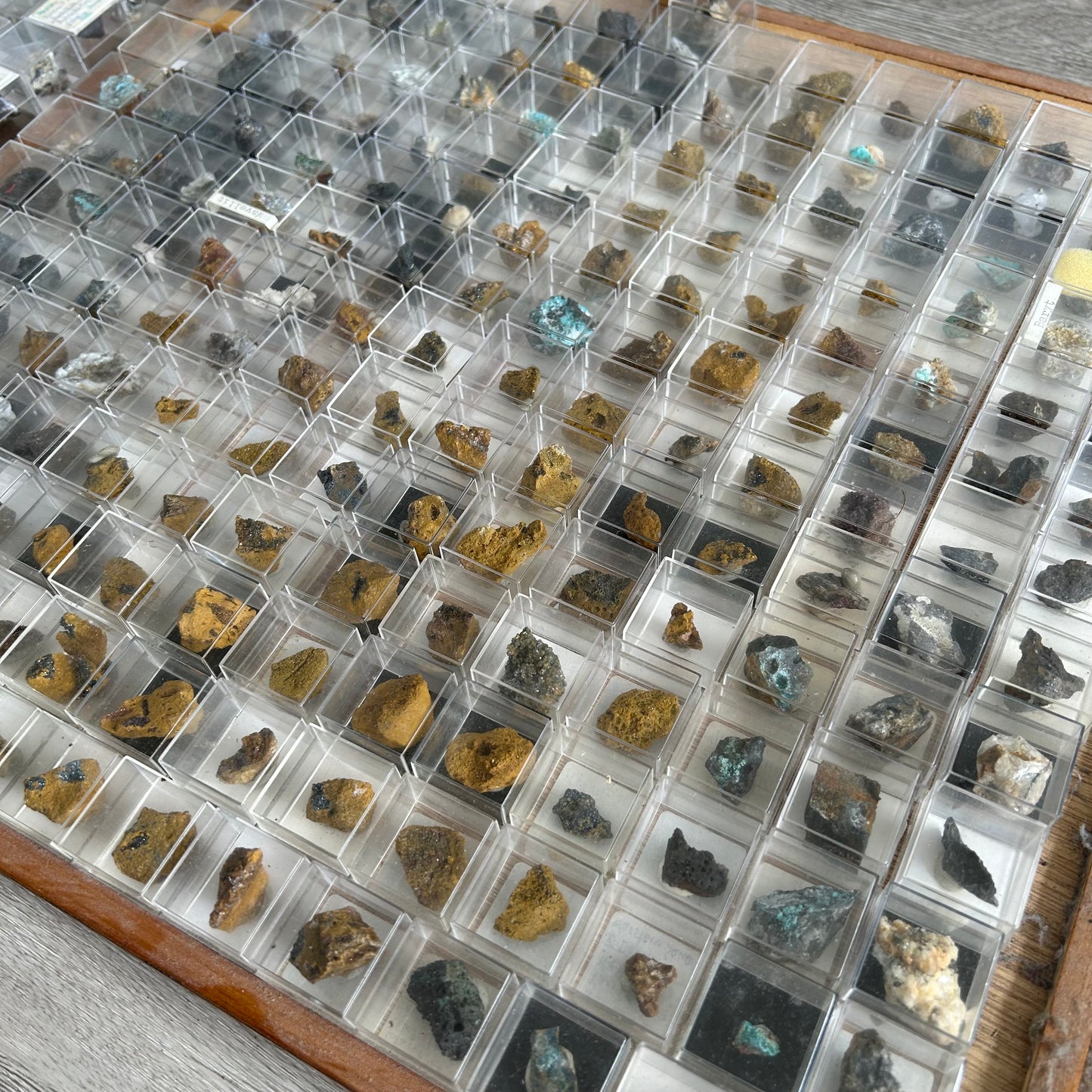 Micromount-Sammlung „Sauerland-Raritäten“ 350 Stück