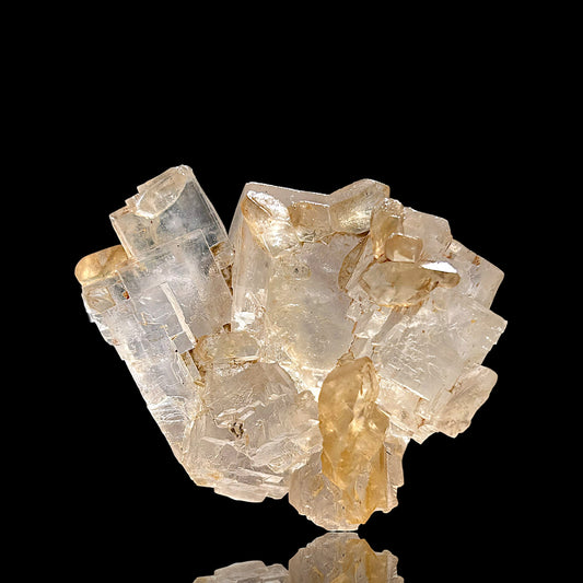 Halit, Gips – Bleicherode, Deutschland