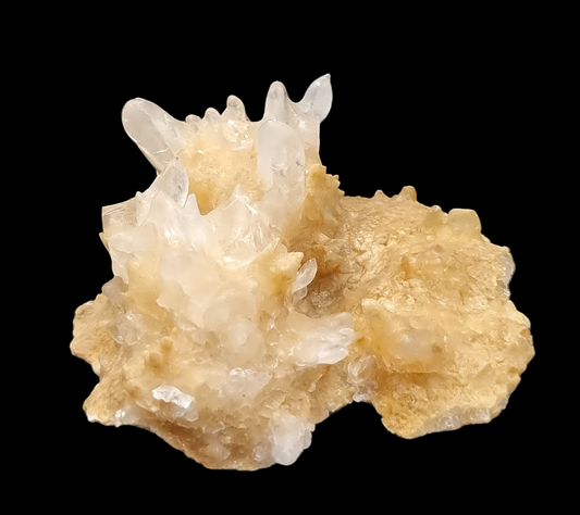 Calcite Excentrique - Winterberg Quarry, Harz Mts