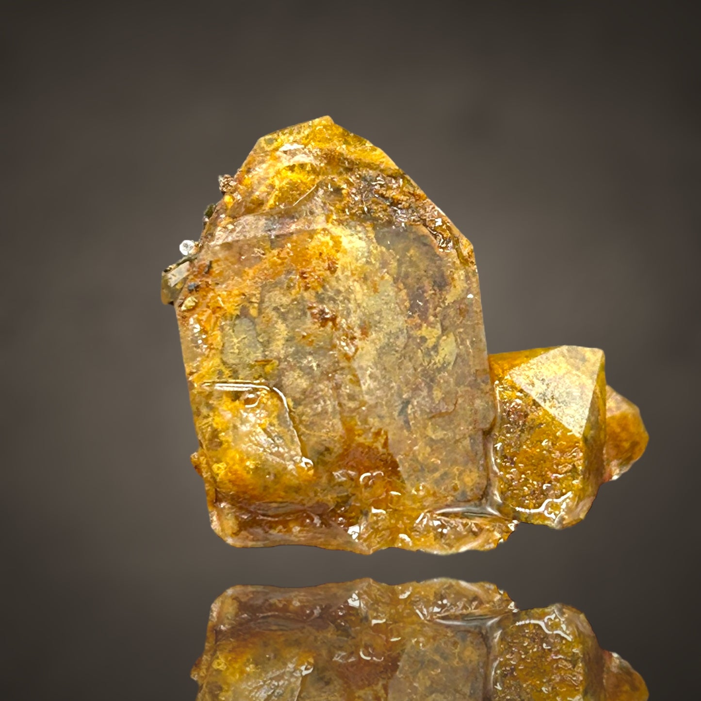 Quartz with Fungi inclusions/Quarz mit fossilen Pilzeinschlüssen - Sauerland