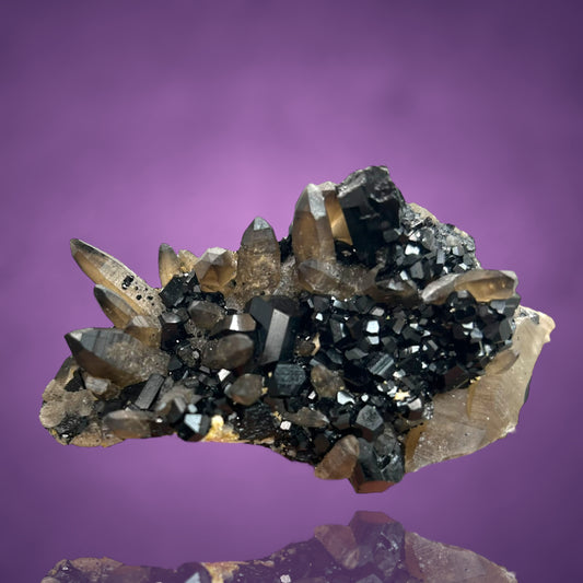 Rauchquarz, Schörl Turmalin/Smokey Quartz, Schorl - Erongo,Namibia