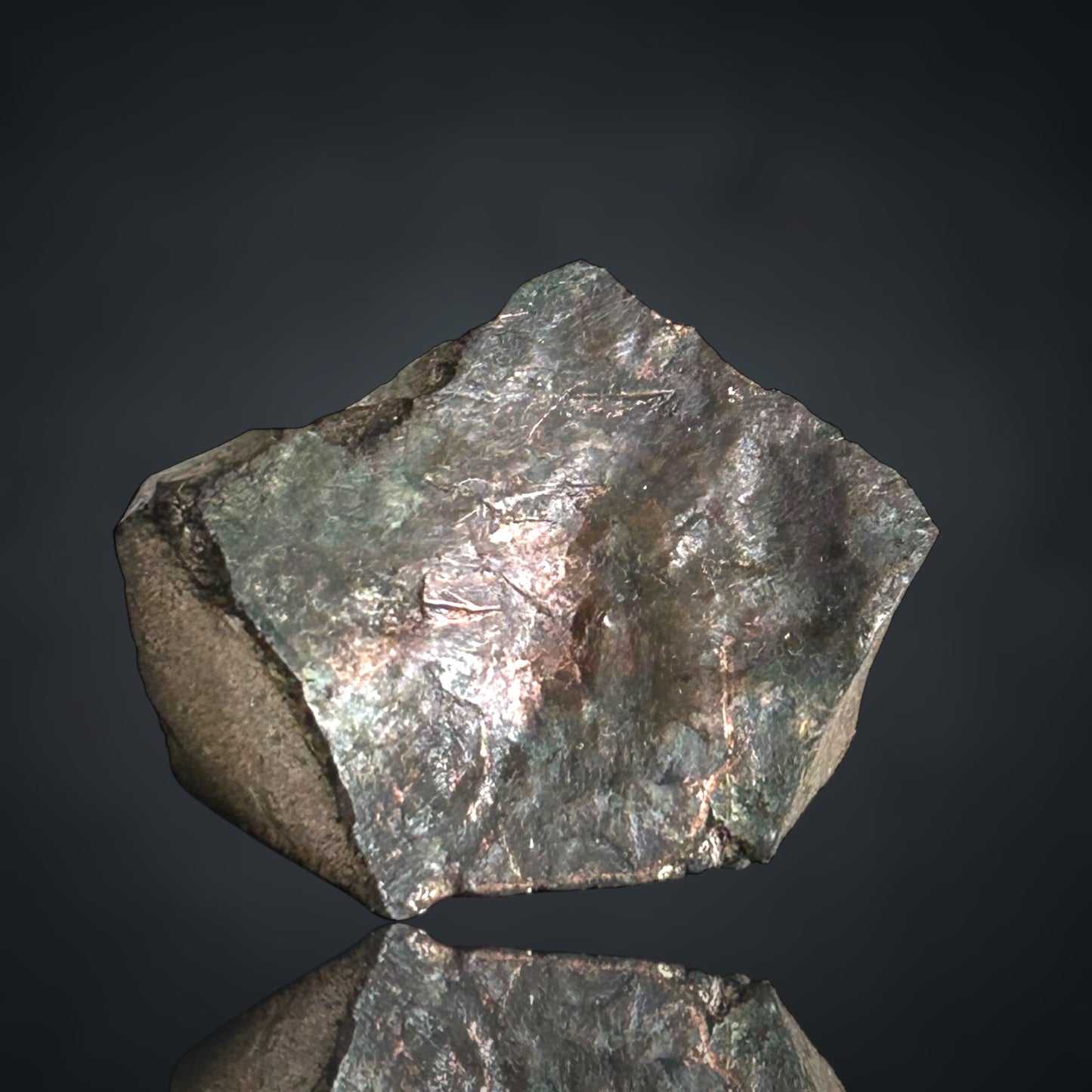 Danbait - Helbra/Eisleben 🇩🇪