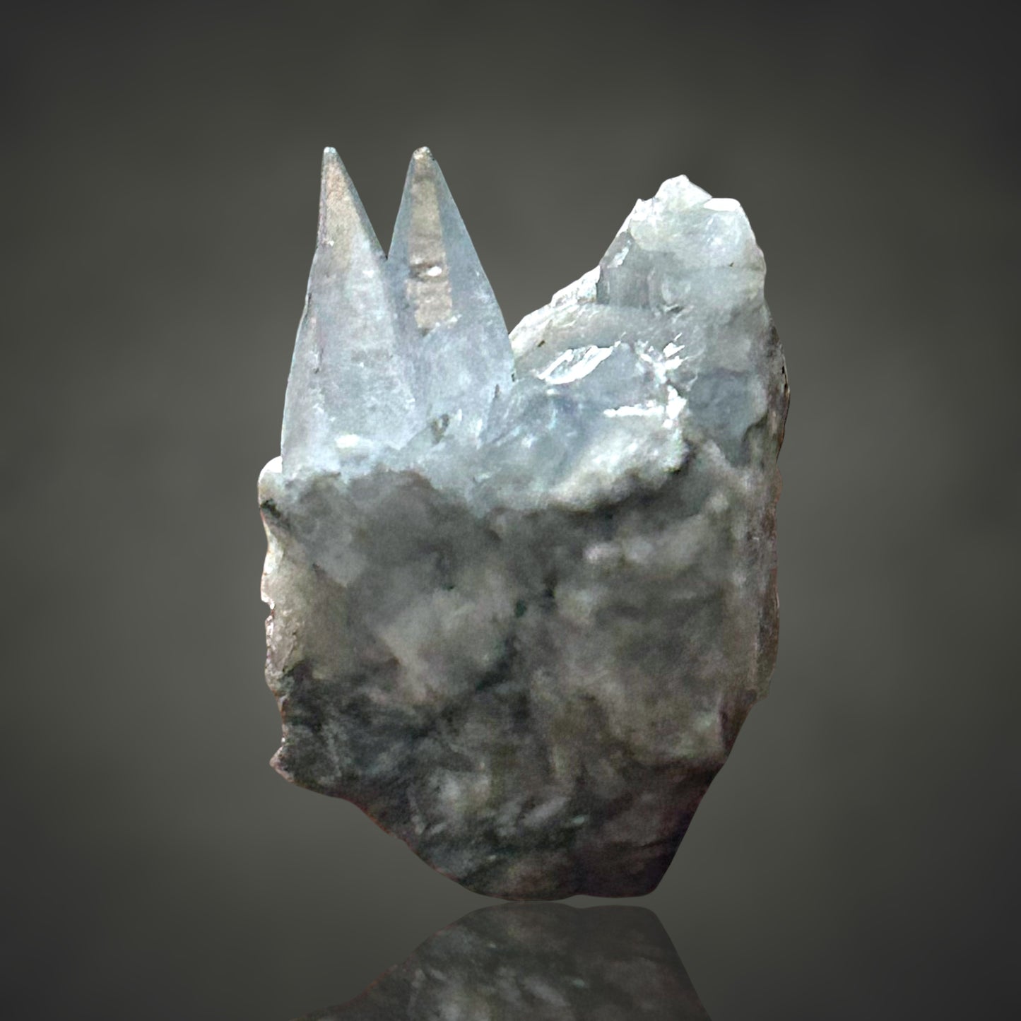 Coelestin - Deister, Hannover 🇩🇪